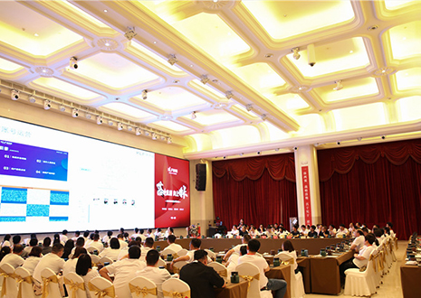 复盘 | 凯发官网核心经销商共聚中国·合肥