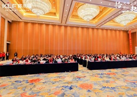 如何赢战2025大家居市场？凯发官网核心经销商大会给出答案！